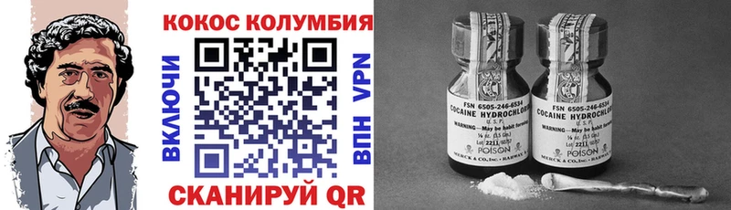 Cocaine FishScale  дарнет шоп  Шелехов 