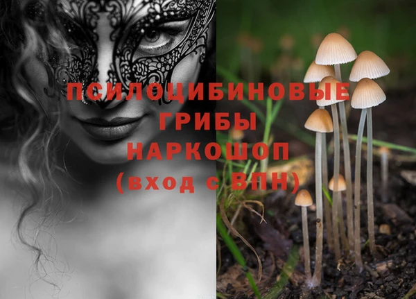 МДПВ Алексеевка