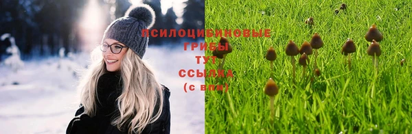 МДПВ Алексеевка