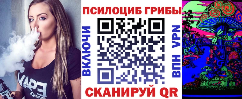Галлюциногенные грибы Psilocybe  Шелехов 